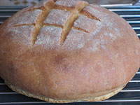 Кукурузно-пшеничный хлеб