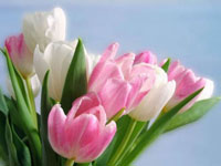 Как отметить 8 марта в офисе?