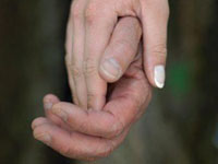 Годовщина свадьбы