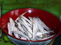 Солёная корюшка