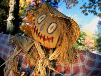 История праздника Halloween (Хеллоуин)