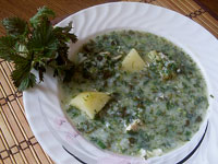 Зелёный борщ с крапивой