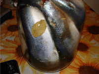 Солёная селедка