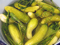 Огурцы малосольные