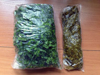 Заготовка щавеля на зиму