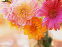 Традиции Дня знаний