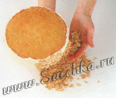 бисквит