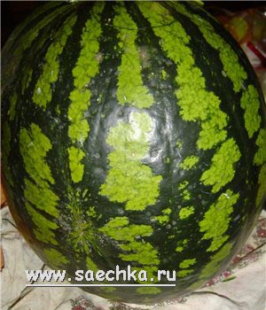 Карвинг