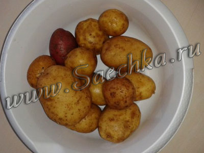 картофель