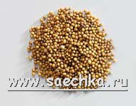 Горчица сарептская (русская, сизая)