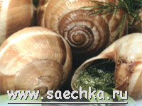 Виноградные улитки