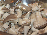 Вешенки солёные