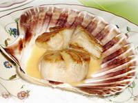 Морские гребешки в сливочном соусе
